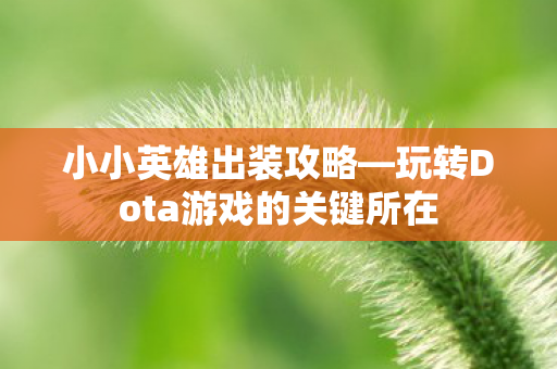 小小英雄出装攻略—玩转Dota游戏的关键所在 小小英雄出装攻略—玩转Dota游戏的关键所在