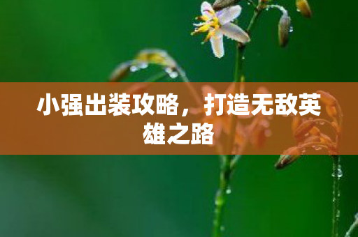 小强出装攻略,打造无敌英雄之路 小强出装攻略,打造无敌英雄之路