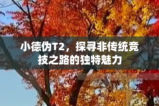 小德伪T2,探寻非传统竞技之路的独特魅力 小德伪T2,探寻非传统竞技之路的独特魅力
