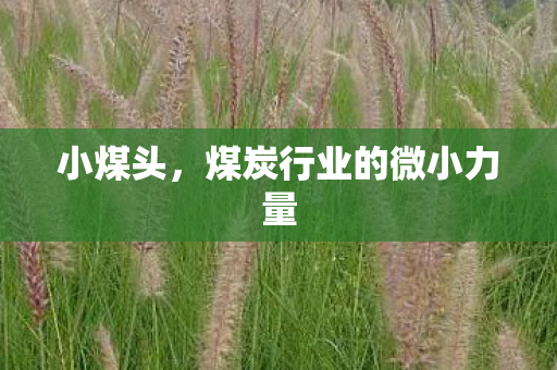 小煤头，煤炭行业的微小力量