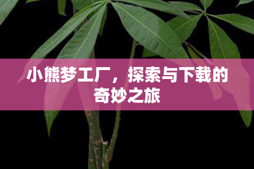 小熊梦工厂，探索与下载的奇妙之旅