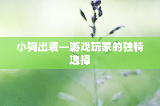 小狗出装—游戏玩家的独特选择