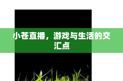 小苍直播，游戏与生活的交汇点