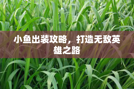 小鱼出装攻略,打造无敌英雄之路 小鱼出装攻略,打造无敌英雄之路