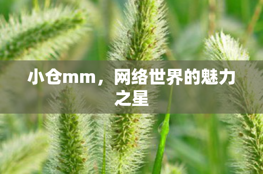 小仓mm，网络世界的魅力之星