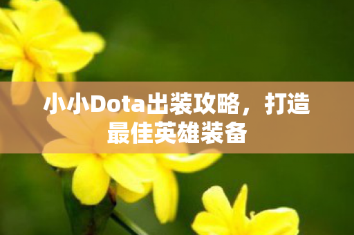 小小Dota出装攻略，打造最佳英雄装备