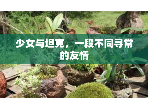 少女与坦克，一段不同寻常的友情