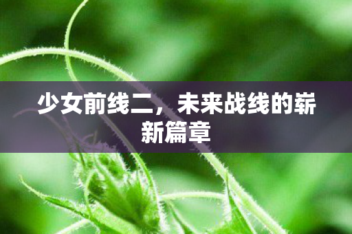 少女前线二，未来战线的崭新篇章