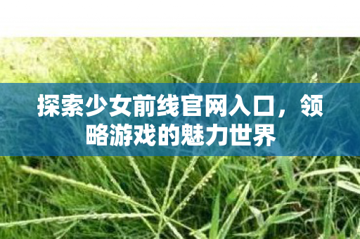 探索少女前线官网入口,领略游戏的魅力世界 探索少女前线官网入口,领略游戏的魅力世界