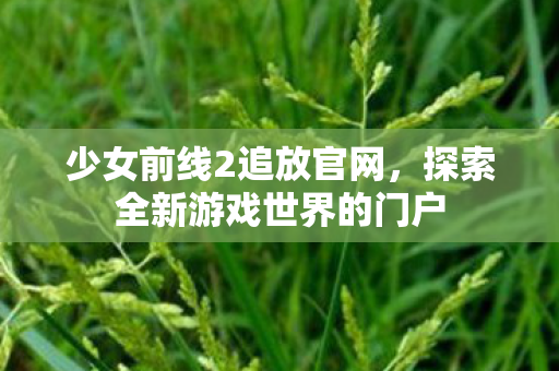 少女前线2追放官网，探索全新游戏世界的门户