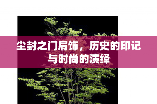 尘封之门肩饰,历史的印记与时尚的演绎 尘封之门肩饰,历史的印记与时尚的演绎