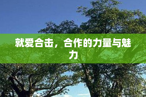 就爱合击，合作的力量与魅力