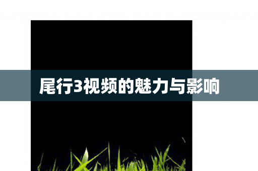 尾行3视频的魅力与影响