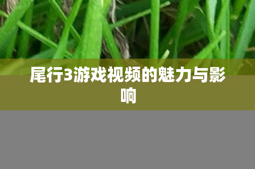 尾行3游戏视频的魅力与影响 尾行3游戏视频的魅力与影响