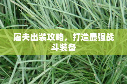 屠夫出装攻略，打造最强战斗装备