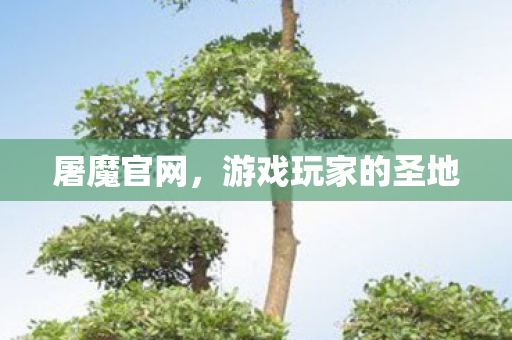 屠魔官网，游戏玩家的圣地