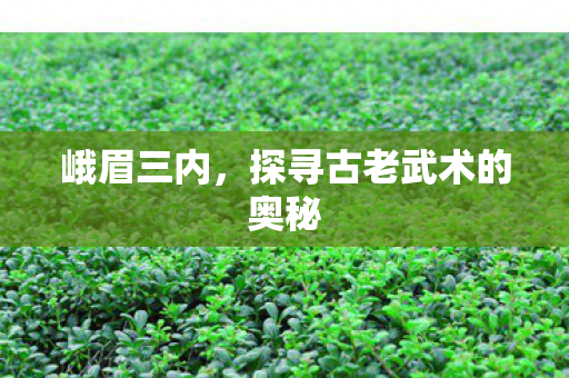 峨眉三内，探寻古老武术的奥秘