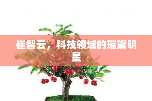 崔智云，科技领域的璀璨明星