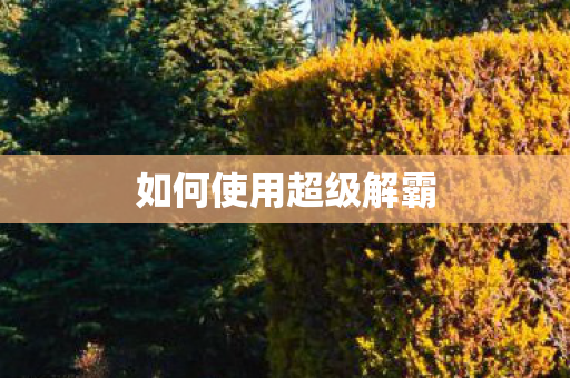 如何使用超级解霸 如何使用超级解霸