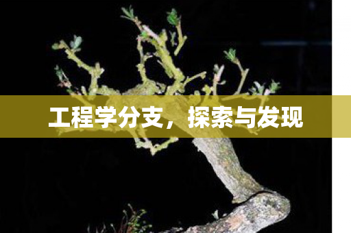 工程学分支，探索与发现