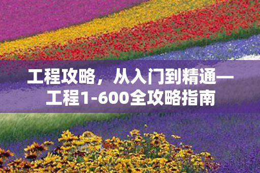 工程攻略，从入门到精通—工程1-600全攻略指南