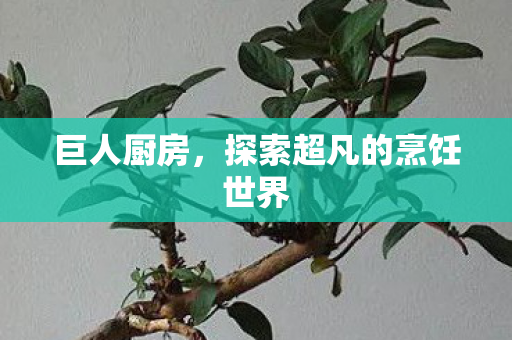 巨人厨房,探索超凡的烹饪世界 巨人厨房,探索超凡的烹饪世界