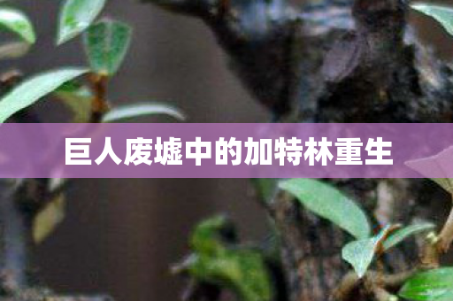 巨人废墟中的加特林重生 巨人废墟中的加特林重生