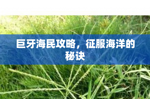 巨牙海民攻略，征服海洋的秘诀