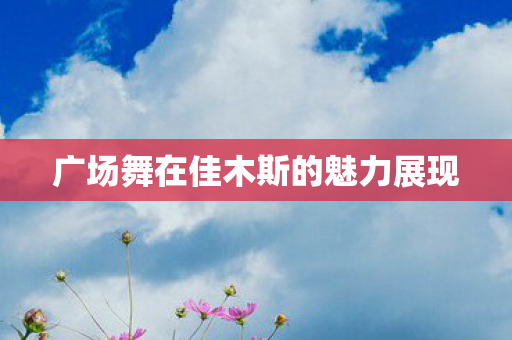 广场舞在佳木斯的魅力展现 广场舞在佳木斯的魅力展现