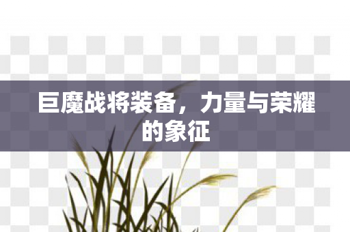巨魔战将装备,力量与荣耀的象征 巨魔战将装备,力量与荣耀的象征