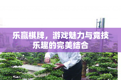 乐赢棋牌,游戏魅力与竞技乐趣的完美结合 乐赢棋牌,游戏魅力与竞技乐趣的完美结合