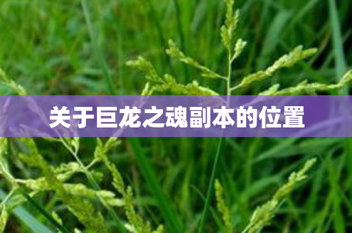 关于巨龙之魂副本的位置