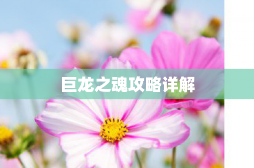 巨龙之魂攻略详解 巨龙之魂攻略详解