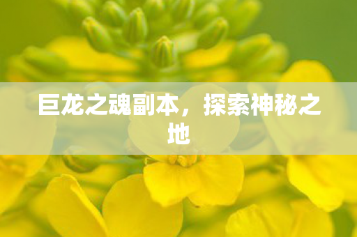 巨龙之魂副本，探索神秘之地