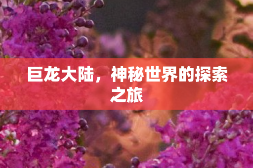 巨龙大陆,神秘世界的探索之旅 巨龙大陆,神秘世界的探索之旅