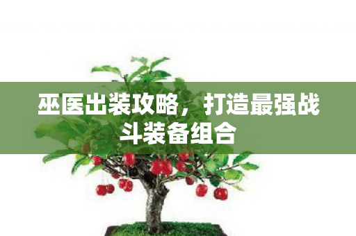 巫医出装攻略，打造最强战斗装备组合