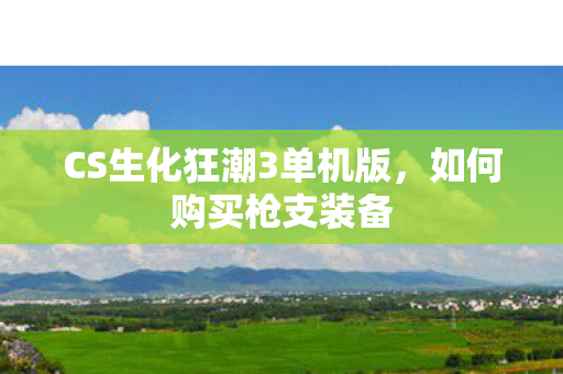 CS生化狂潮3单机版,如何购买枪支装备 CS生化狂潮3单机版,如何购买枪支装备