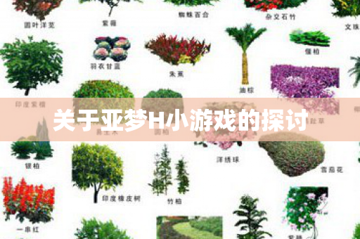 关于亚梦H小游戏的探讨