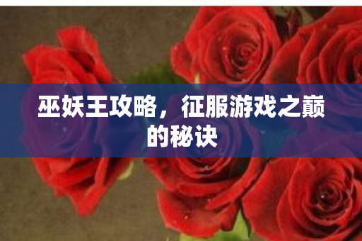 巫妖王攻略,征服游戏之巅的秘诀 巫妖王攻略,征服游戏之巅的秘诀