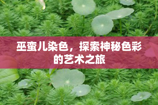 巫蛮儿染色，探索神秘色彩的艺术之旅