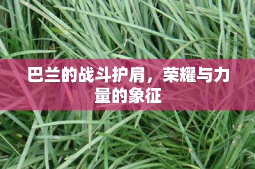 巴兰的战斗护肩,荣耀与力量的象征 巴兰的战斗护肩,荣耀与力量的象征