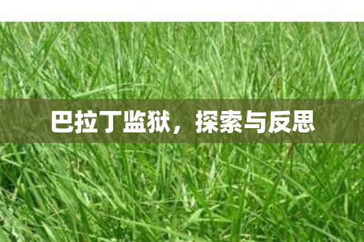 巴拉丁监狱，探索与反思