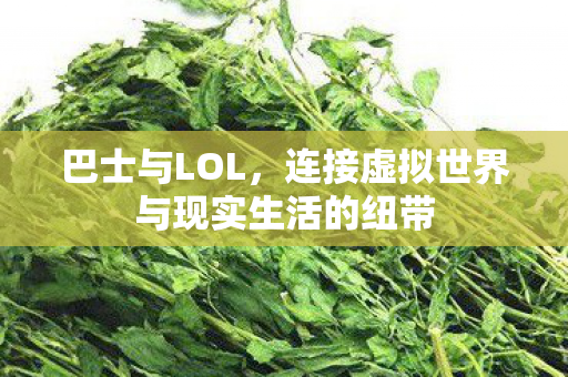 巴士与LOL,连接虚拟世界与现实生活的纽带 巴士与LOL,连接虚拟世界与现实生活的纽带