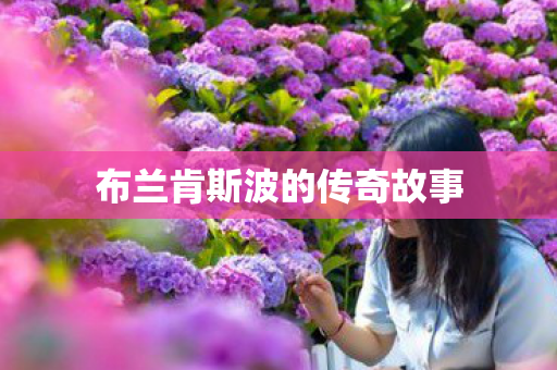 布兰肯斯波的传奇故事 布兰肯斯波的传奇故事