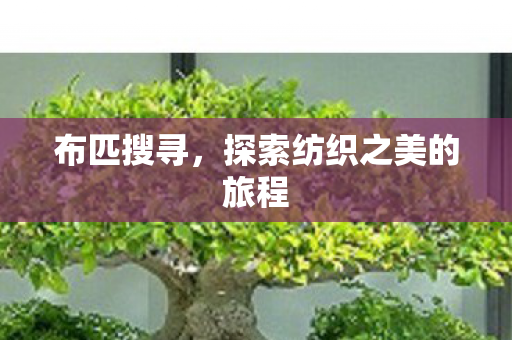 布匹搜寻，探索纺织之美的旅程