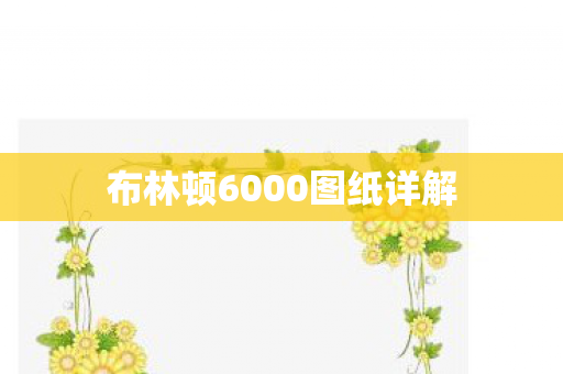 布林顿6000图纸详解 布林顿6000图纸详解
