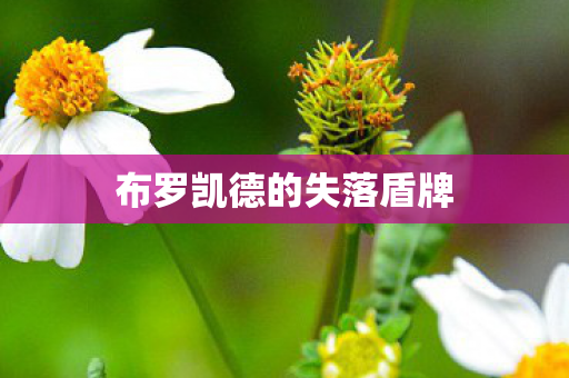 布罗凯德的失落盾牌