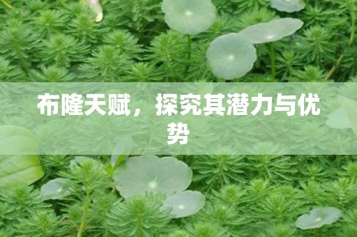布隆天赋，探究其潜力与优势