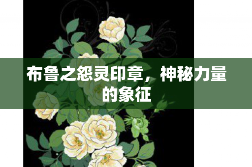 布鲁之怨灵印章，神秘力量的象征
