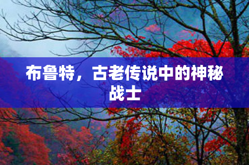 布鲁特，古老传说中的神秘战士